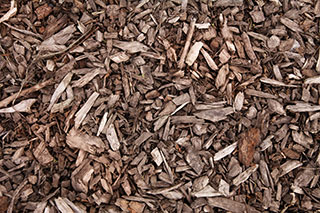 Rindenmulch